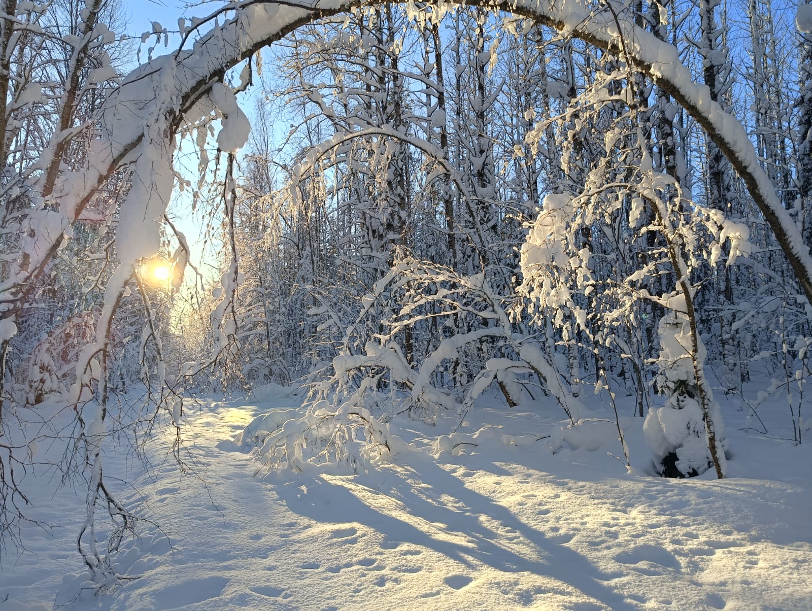 Руководитель Гидрометцентра России: в Карелию и ряд других регионов идут аномальные холода