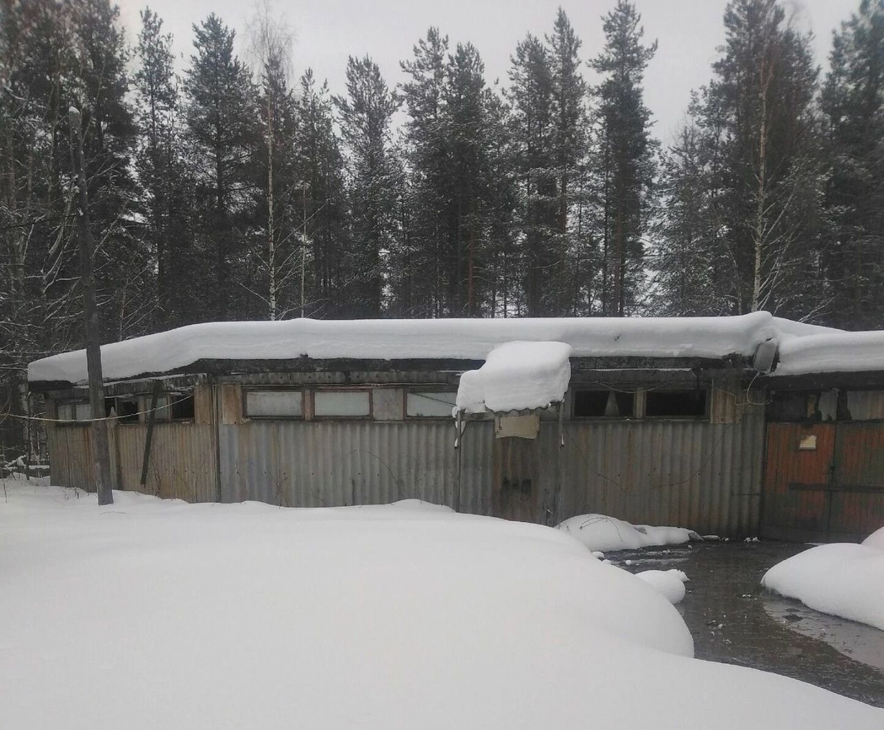 Сточные воды без очистки сбрасываются в реку в Карелии из-за неработающих очистных сооружений