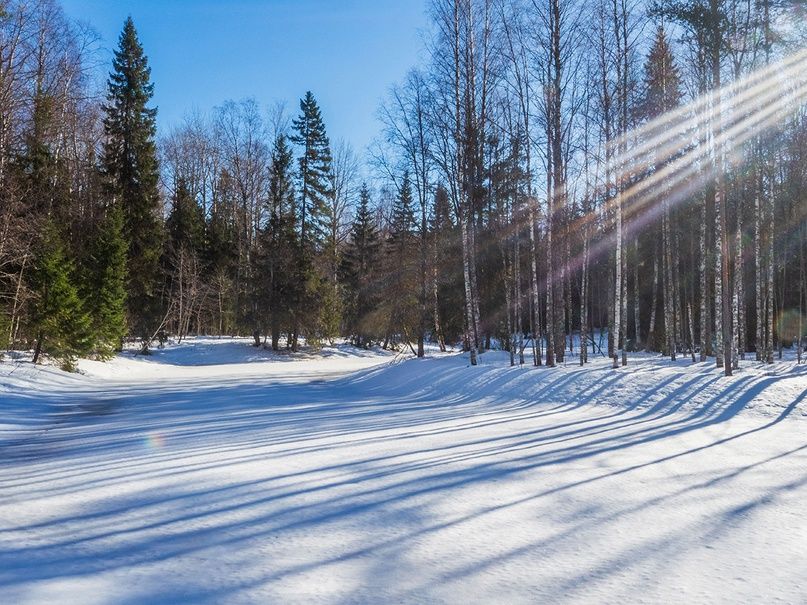 Погода на Земле бьет рекорды десятый месяц подряд