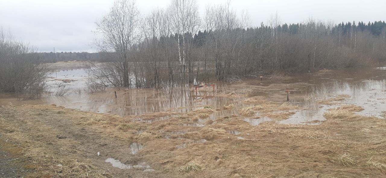 Россельхознадзор оценил состояние скотомогильников после наводнения в Карелии