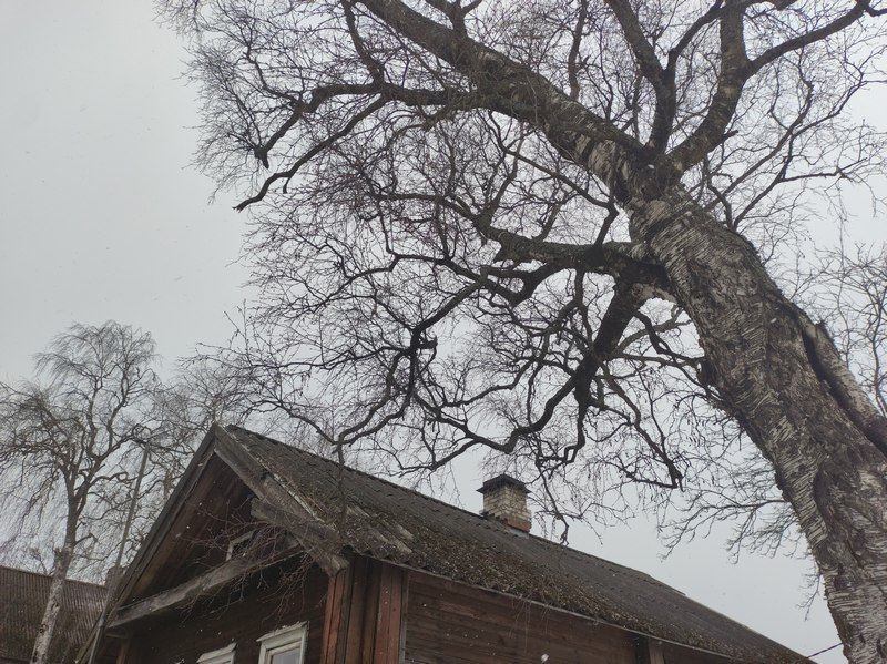 Ночью местами до -15°С: прогноз погоды на 18 апреля