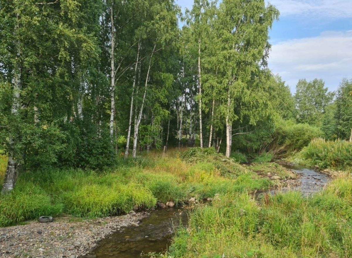 Неглинку ждет масштабная расчистка