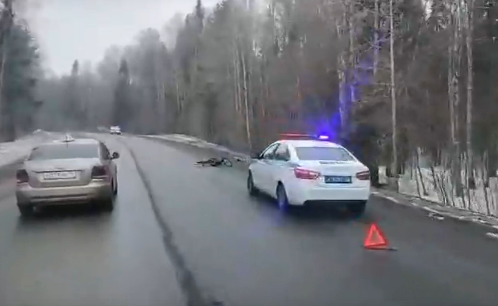 В Кондопоге насмерть сбили велосипедиста