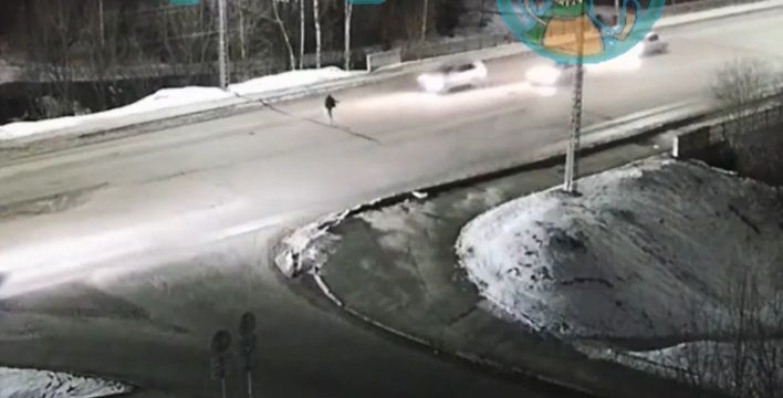 Водитель, насмерть сбивший пешехода в Петрозаводске, не мог предотвратить ДТП, предположили в ГИБДД
