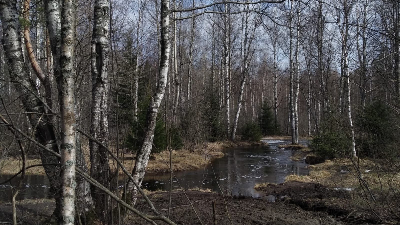 На юге местами до +16°С. Прогноз погоды на 26 апреля