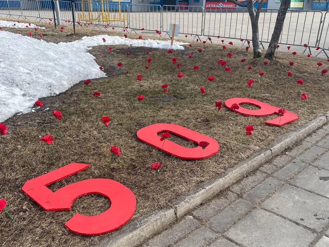 509 бумажных гвоздик высадили волонтеры Костомукши  у памятника «Павшим за Родину»