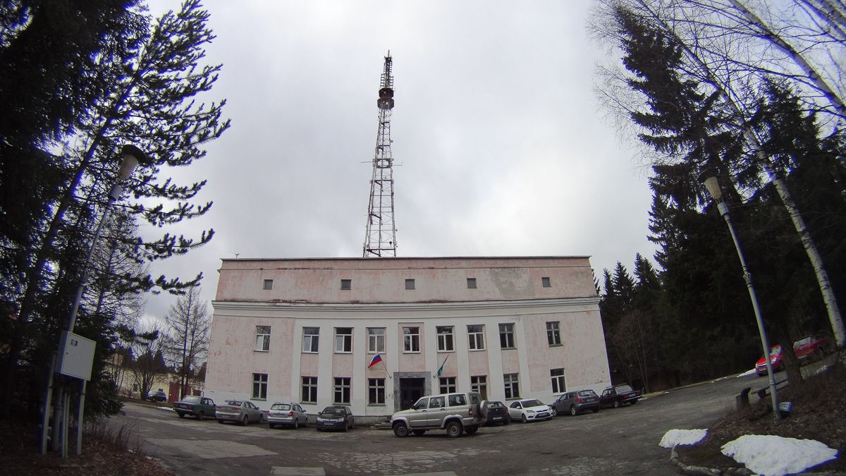 Трое лосят бродят почти в центре Петрозаводска