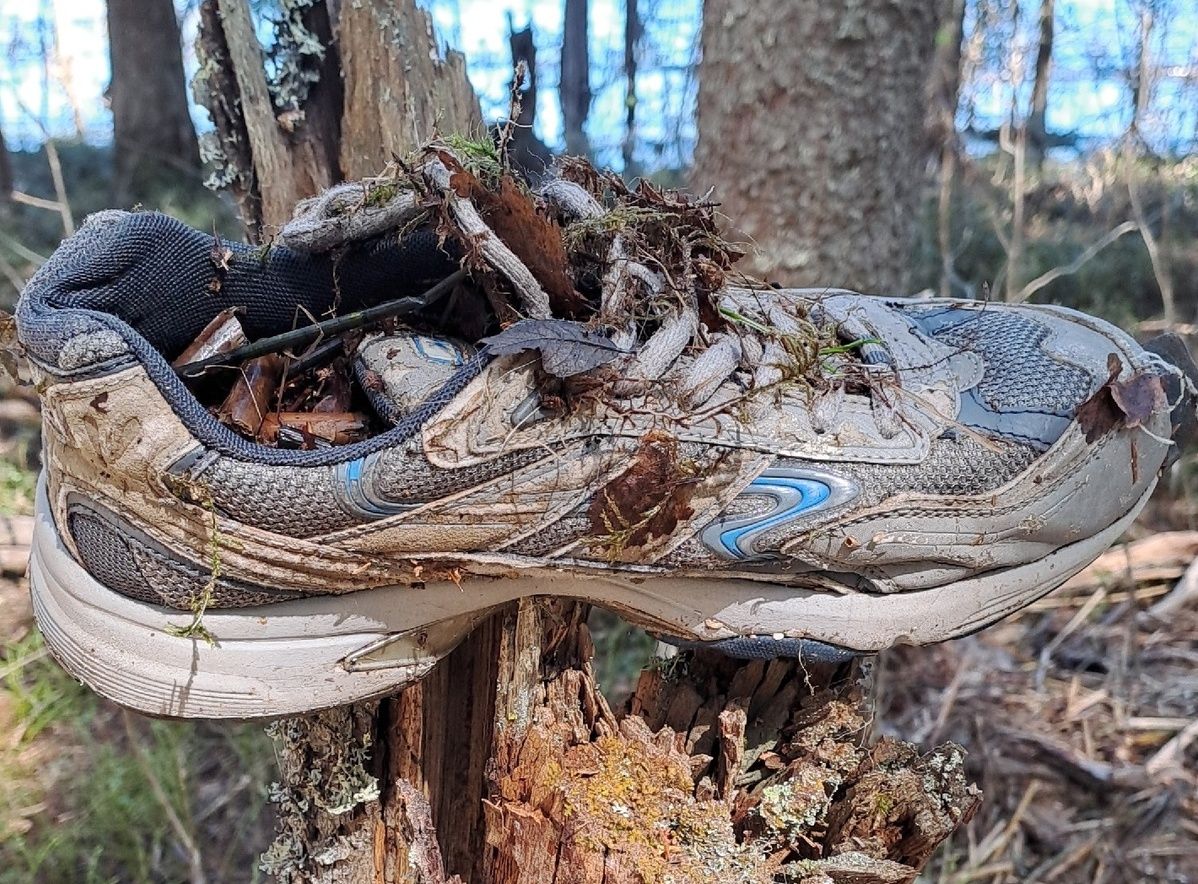 На Шотозере продолжили поиски пропавшего рыбака