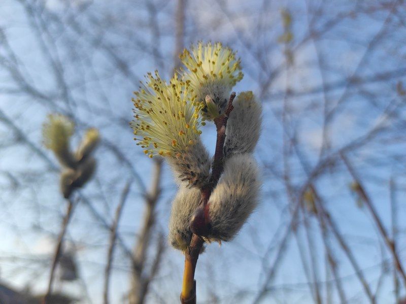 Установилось тепло: прогноз погоды на 16 мая