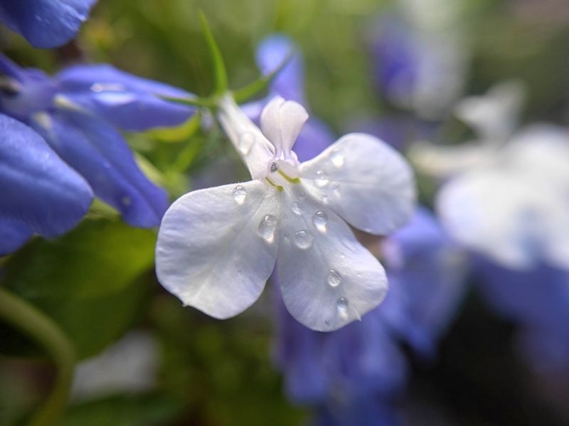Кратковременные дожди и грозы: прогноз погоды на 1 июня