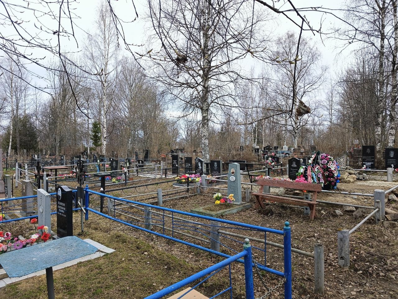 Смертность населения Карелии выросла в 2024 году