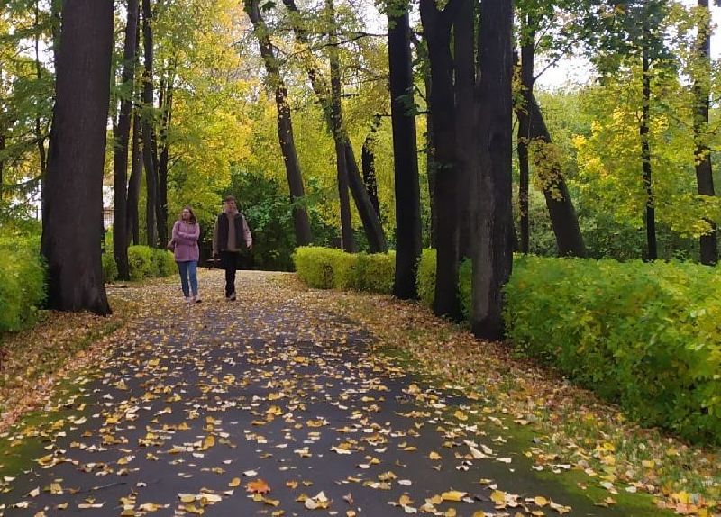 Беличий остров и еще два сквера благоустроят в Петрозаводске