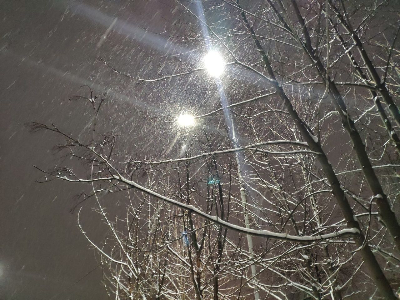 Снег и гололедица ожидаются в Карелии