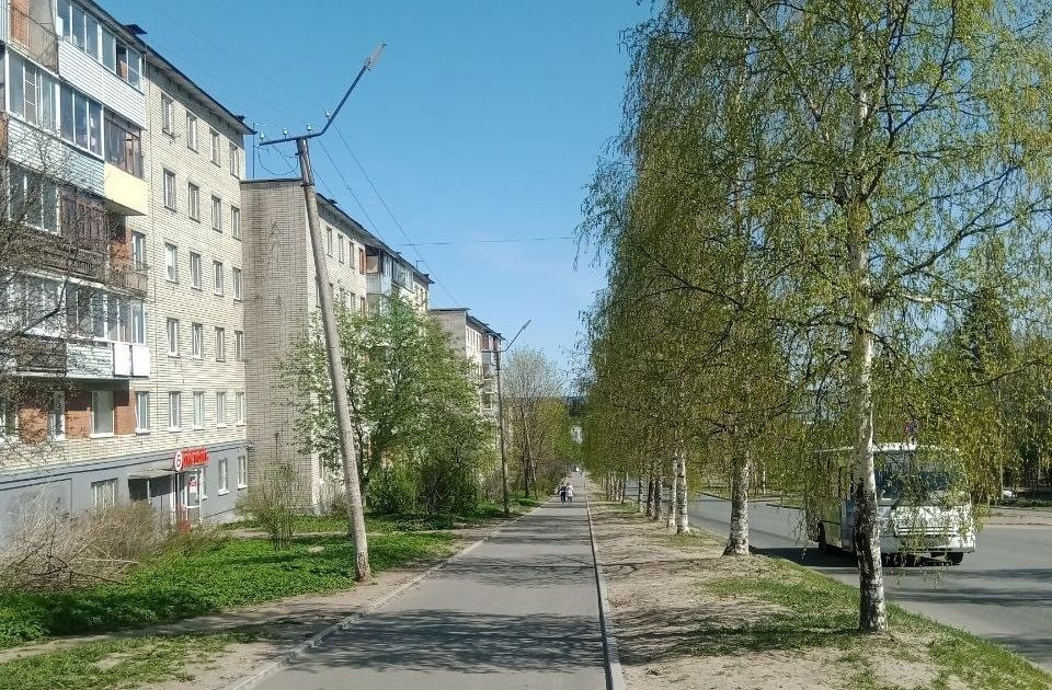 На 14 улицах Петрозаводска улучшат освещение