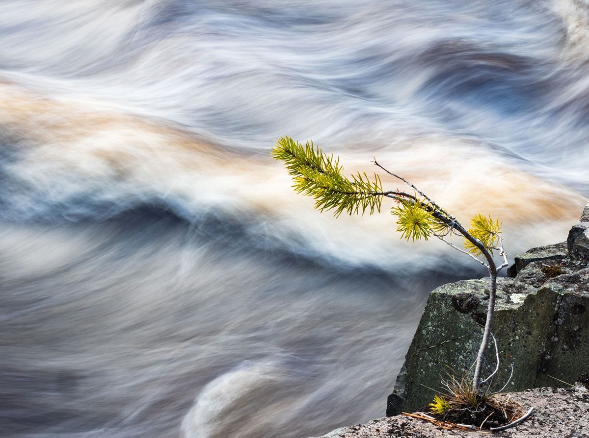 Ночью местами до -5°С. Прогноз погоды на 10 мая