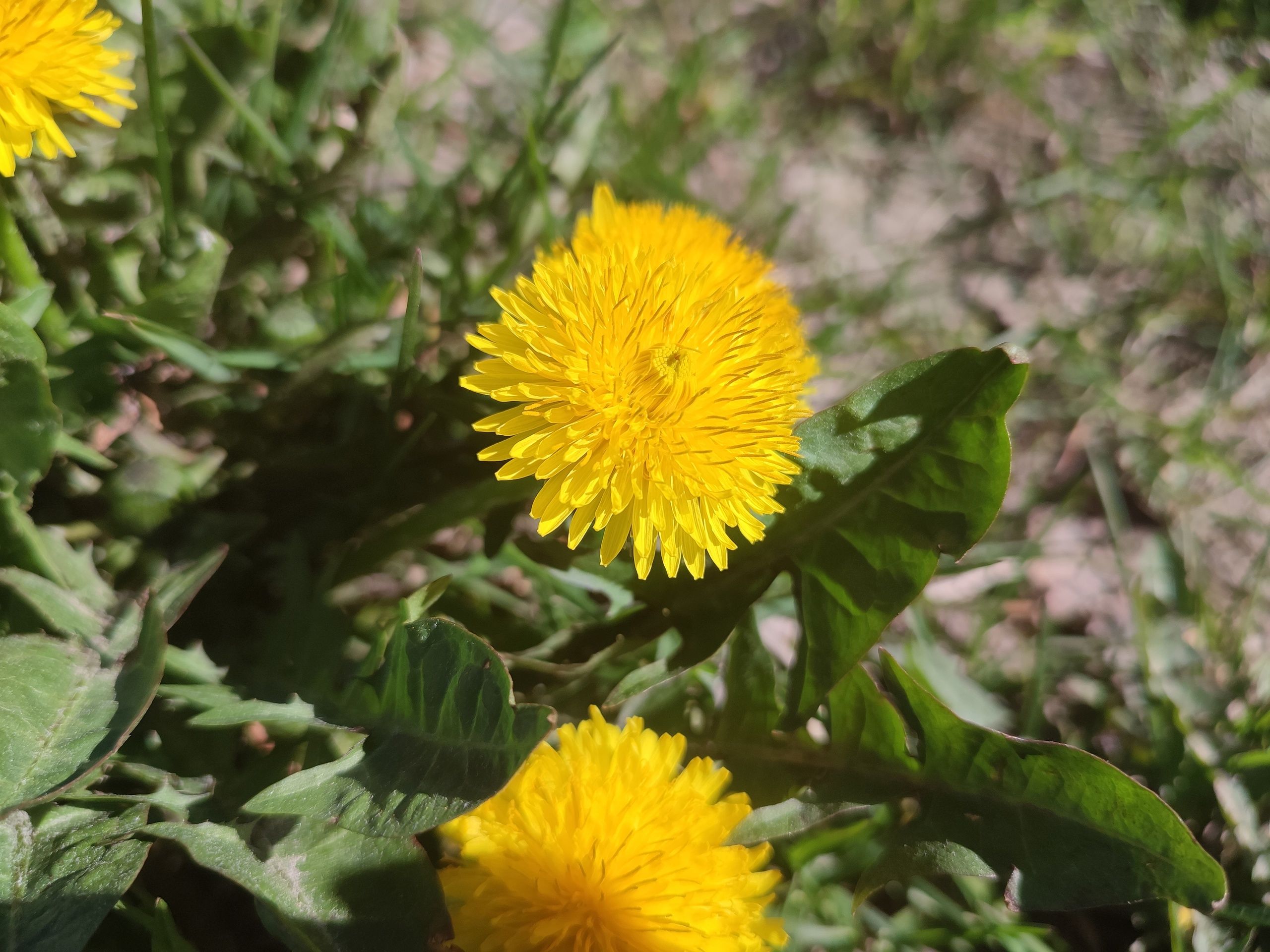 Синоптики рассказали, когда в Карелию придет похолодание