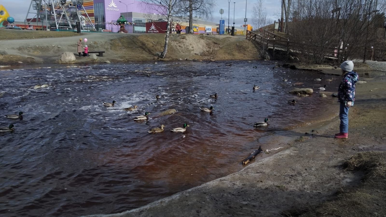 Местами ночью до -8°С: прогноз погоды на 4 мая