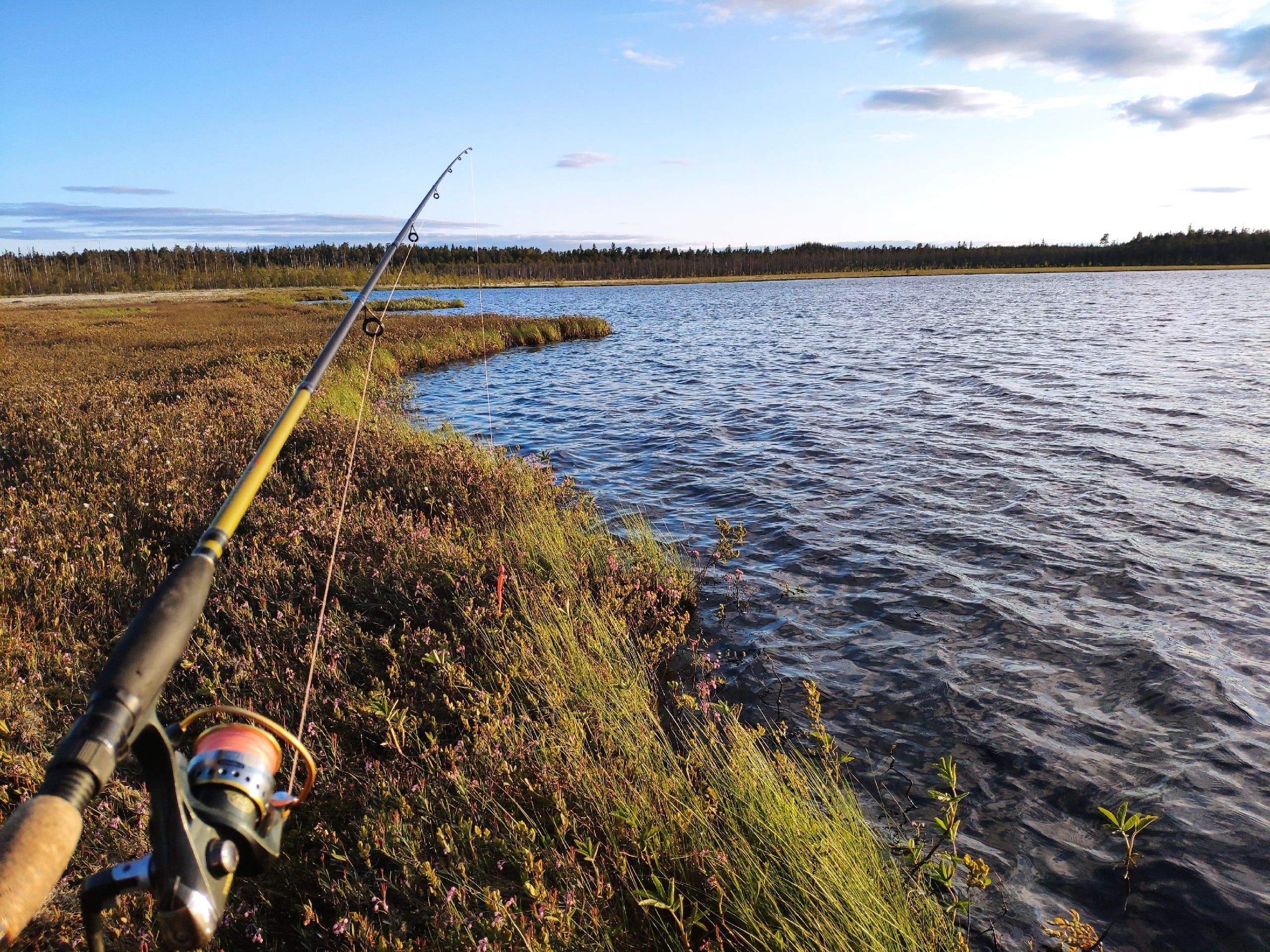 Спиннинг в июне в Карелии разрешат только со следующего года