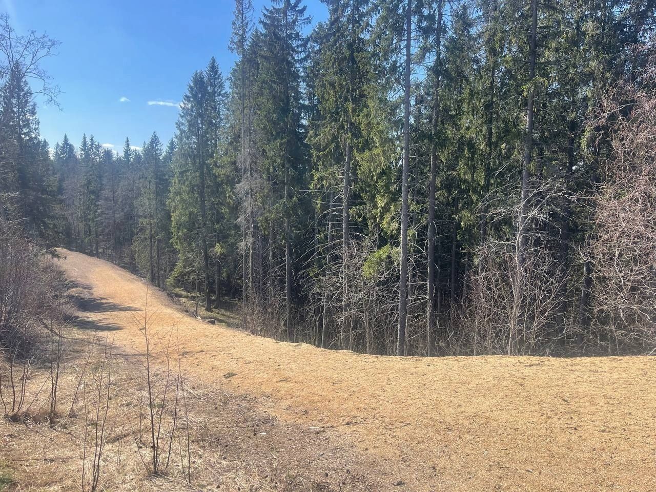 Территорию Кургана обработали против клещей