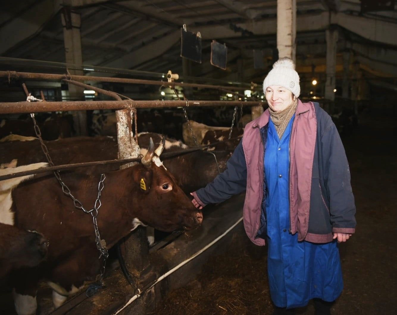 Карельские депутаты предложили установить доплату к пенсии для жителей ПГТ, проработавших не менее 30 лет в сельском хозяйстве