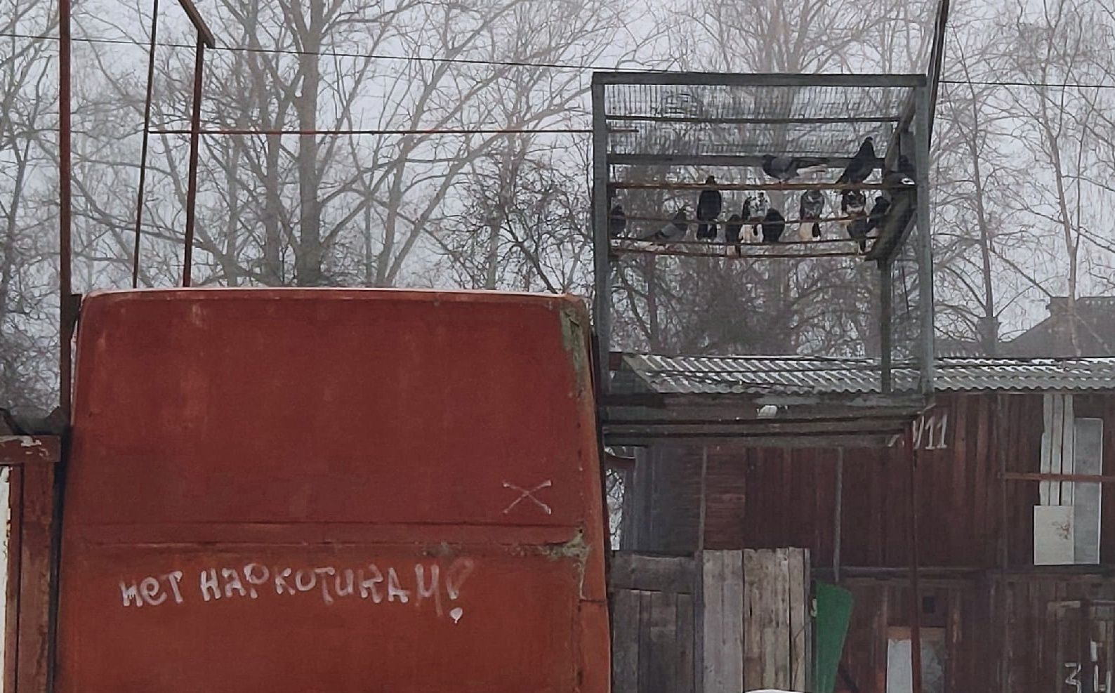 Молодой паре из города Сортавала грозит до 10 лет тюрьмы за покупку наркотика