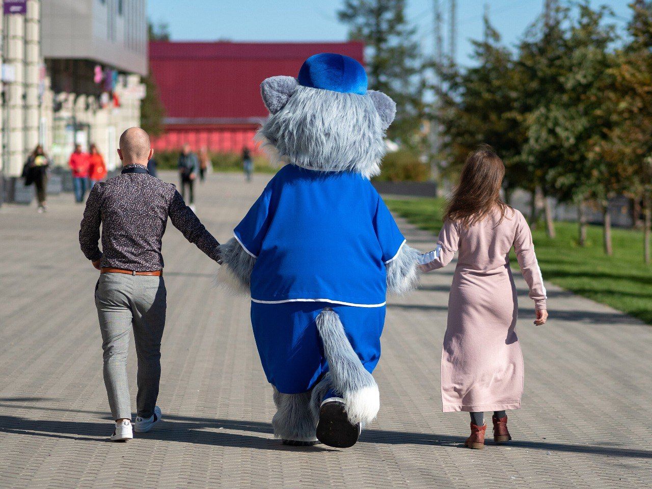 Жителям Карелии предлагают ходить пешком и получать за это призы