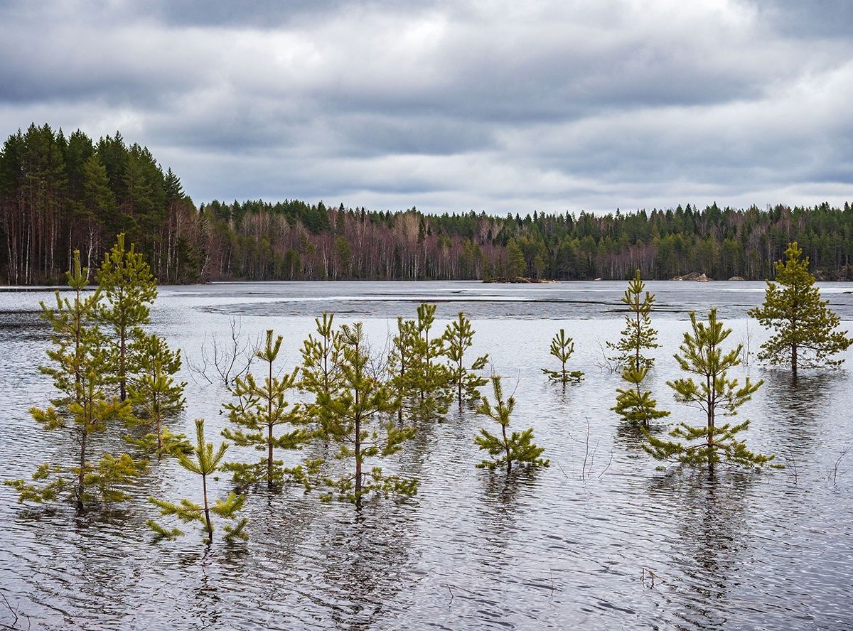 Мокрый снег и порывистый ветер. Прогноз погоды на 11 мая
