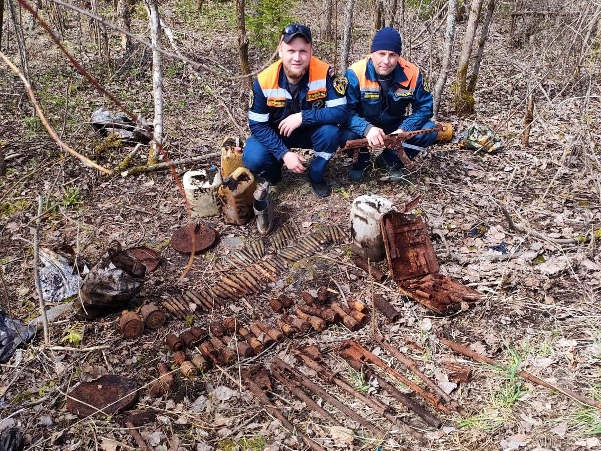 Больше сотни боеприпасов времен Великой Отечественной войны уничтожили в одном из районов Карелии