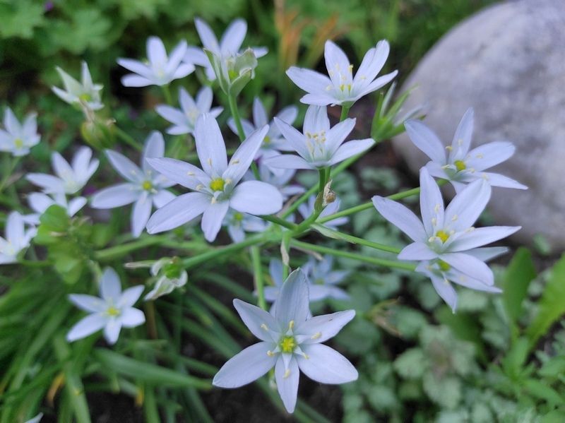 Температурный рекорд установлен в Петрозаводске