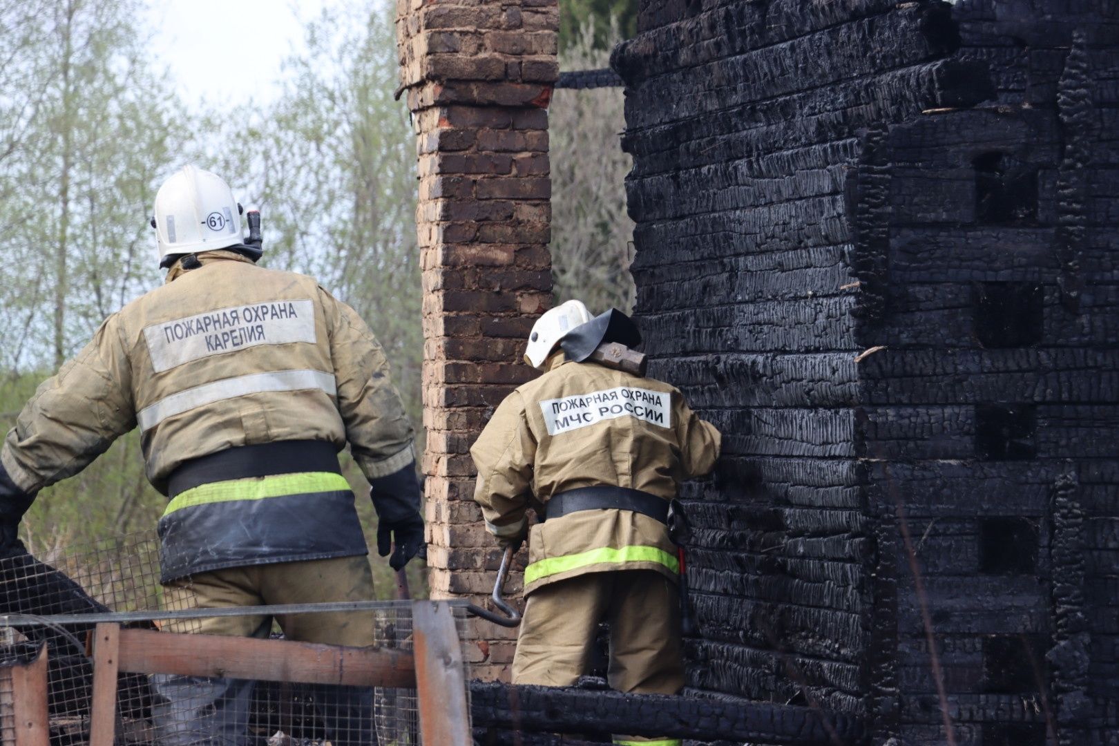 «Скашивайте вовремя траву»: глава Карелии прокомментировал пожар, уничтоживший полдеревни