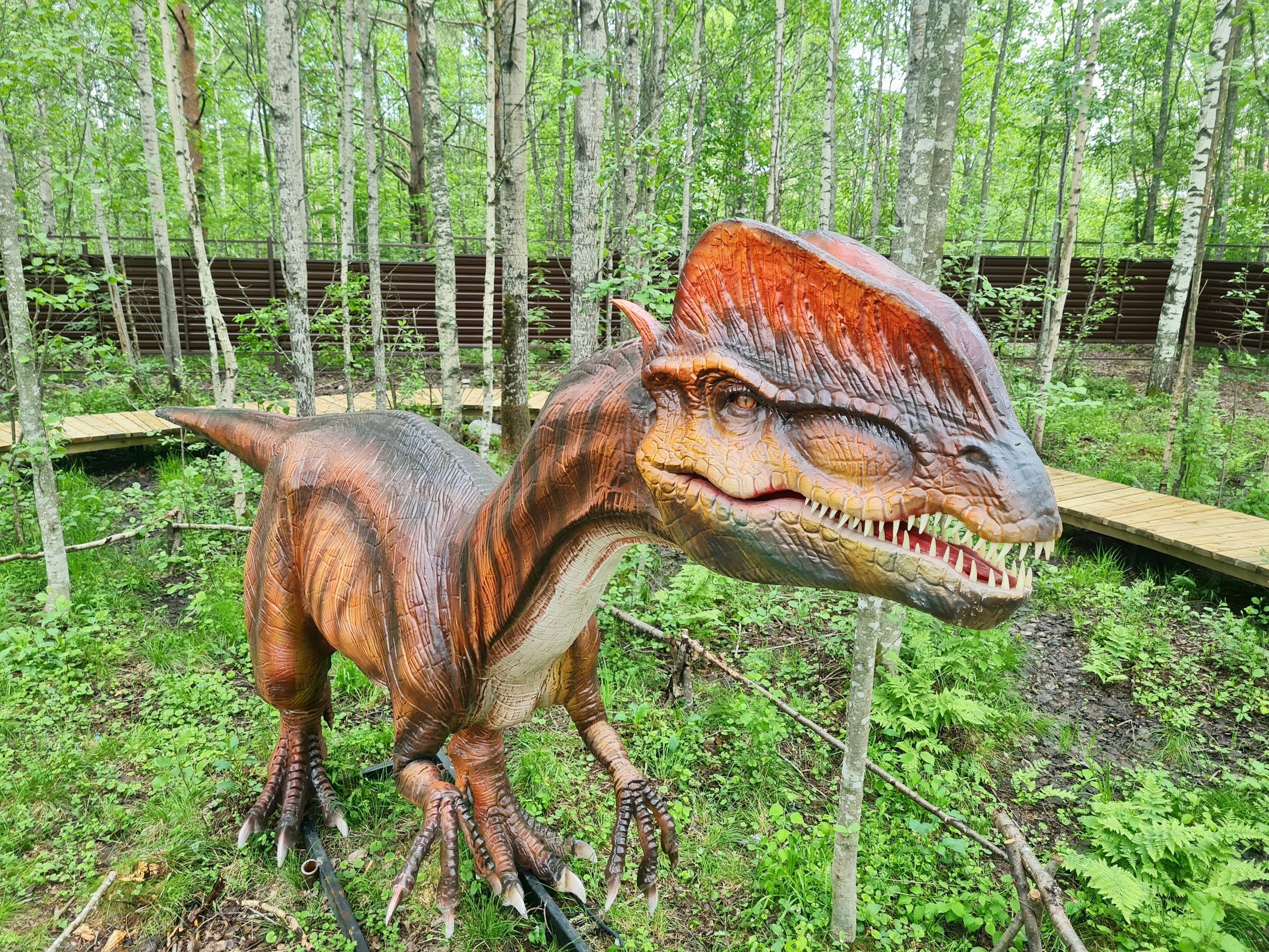 Стало известно, когда в Петрозаводске откроют Динопарк