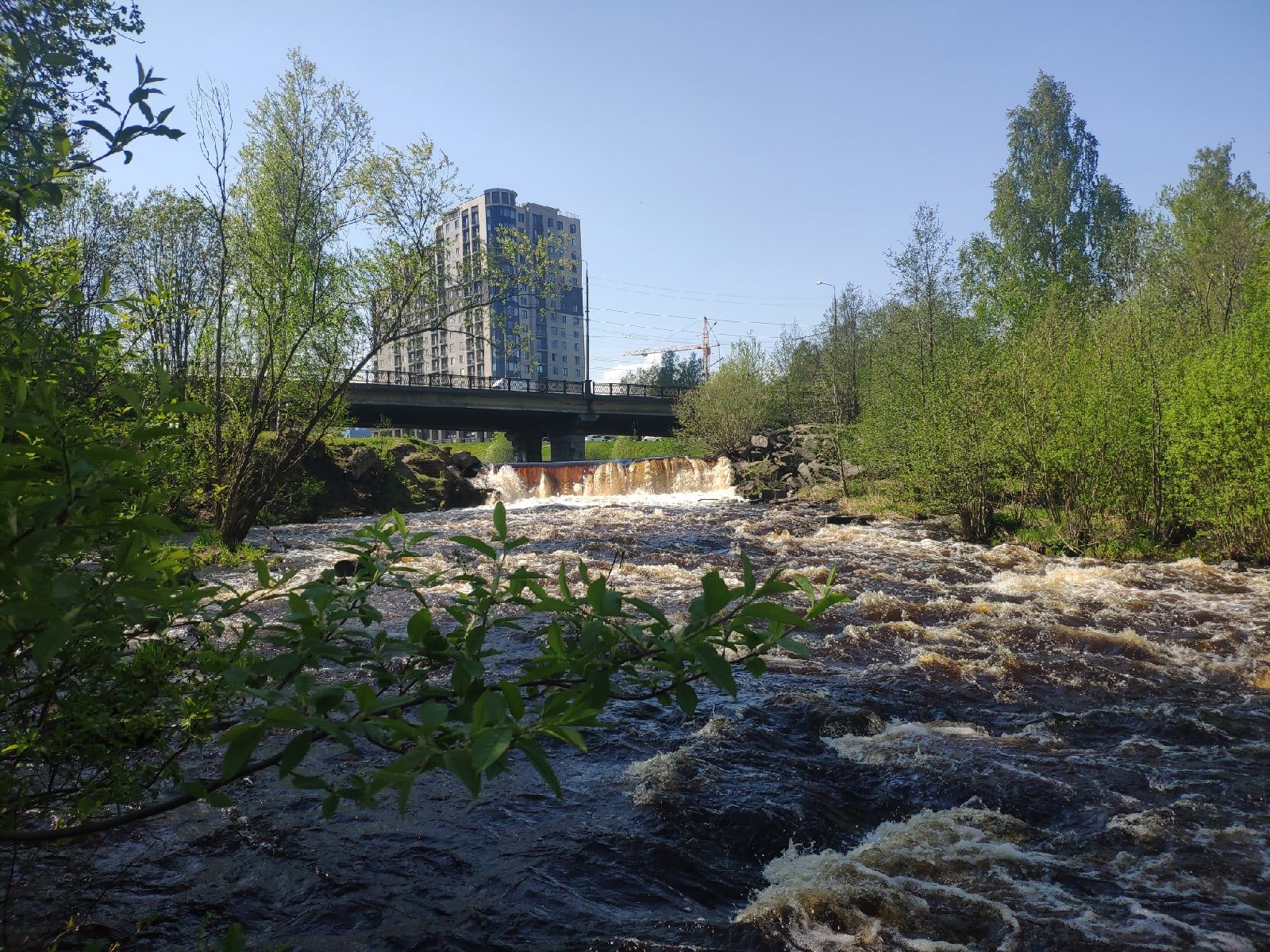 В Петрозаводске без существенных осадков: прогноз погоды на 13 июня