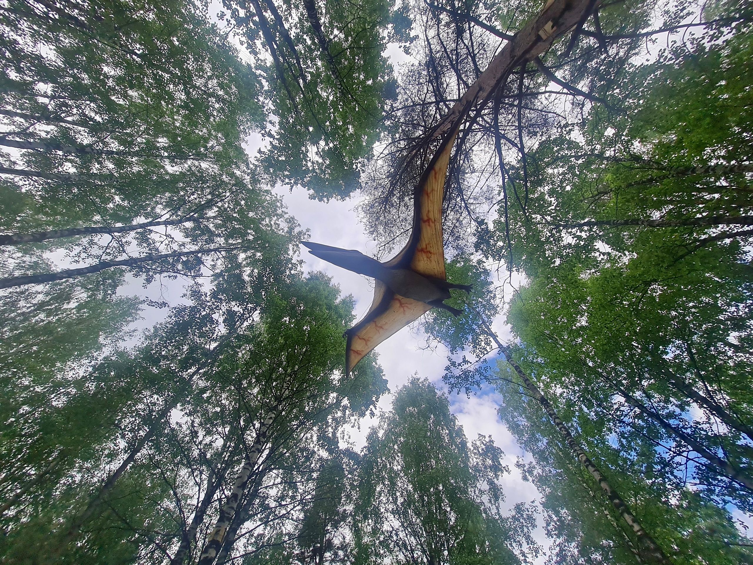 Петрозаводский динопарк готовят к открытию