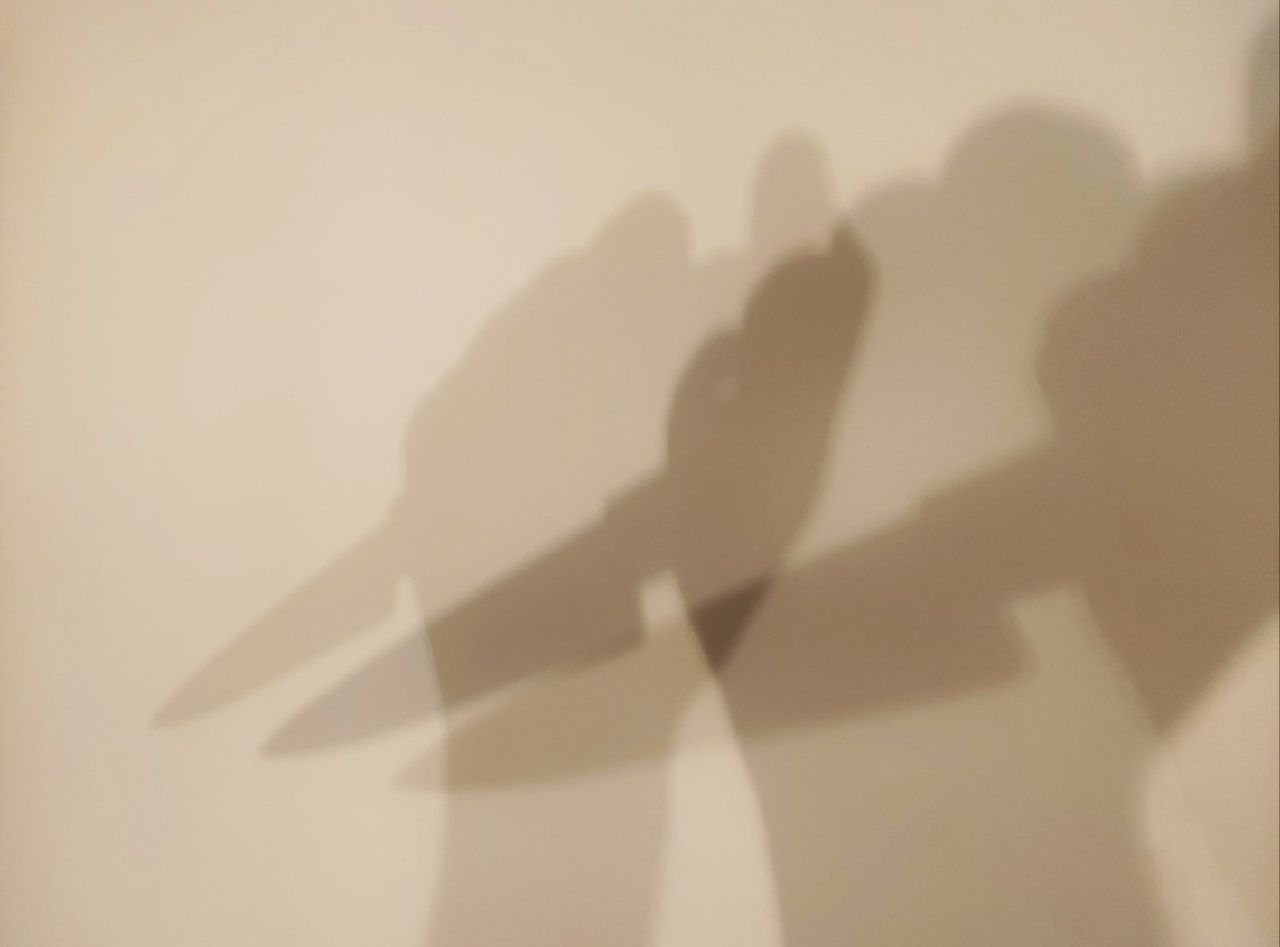 Петрозаводчанка нанесла гостю около 10 ударов ножом