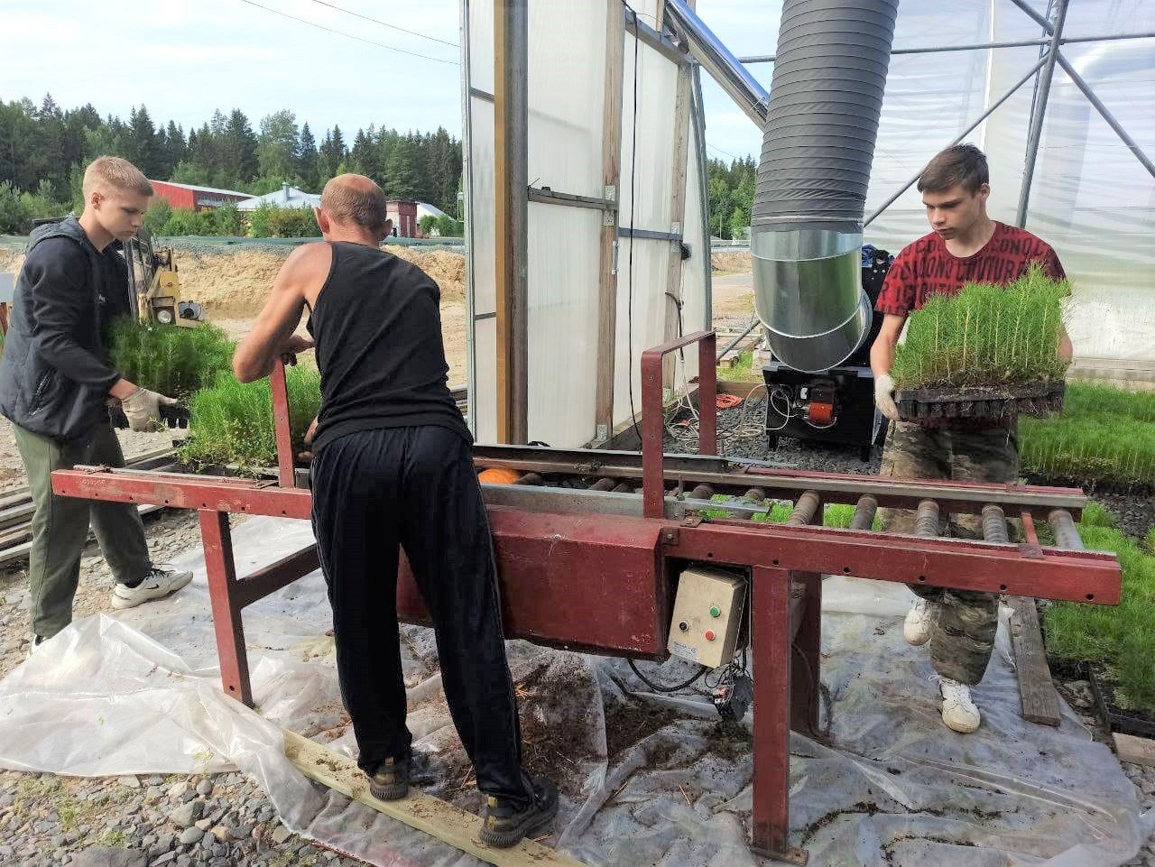 Число вакансий для подростков в Петрозаводске в этом году меньше обычного