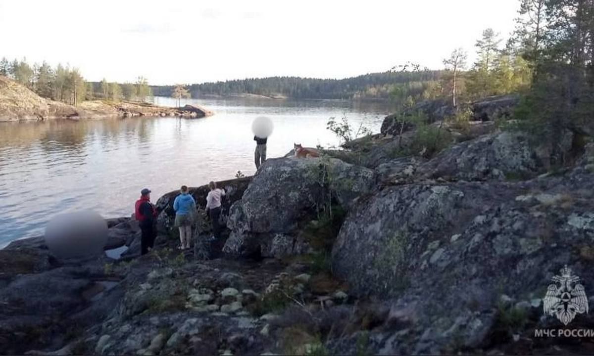 В ГИМС города Лахденпохья рассказали, как погиб ребенок на Ладожском озере