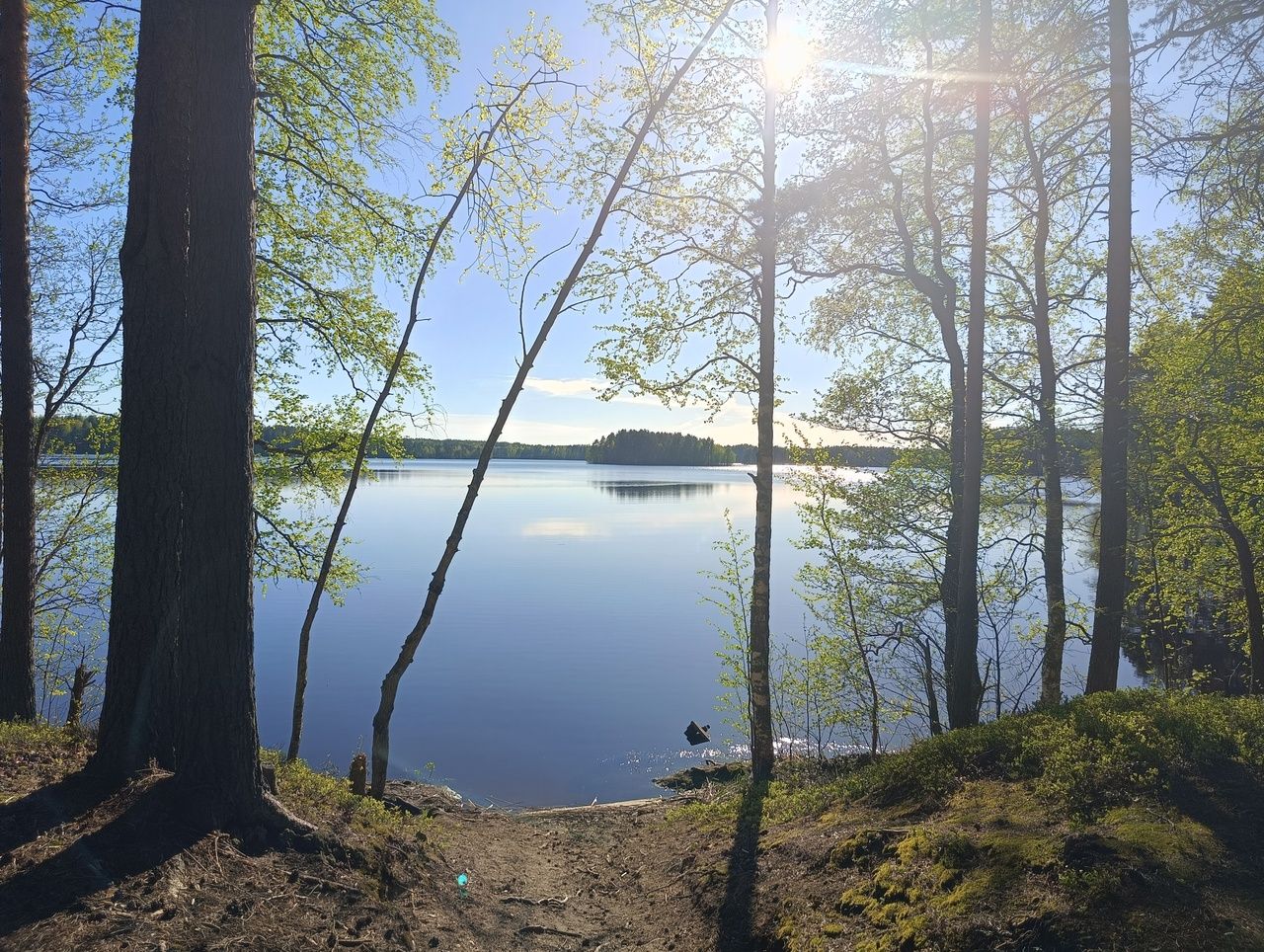 Почти идеальная погода ожидается в воскресенье в Карелии