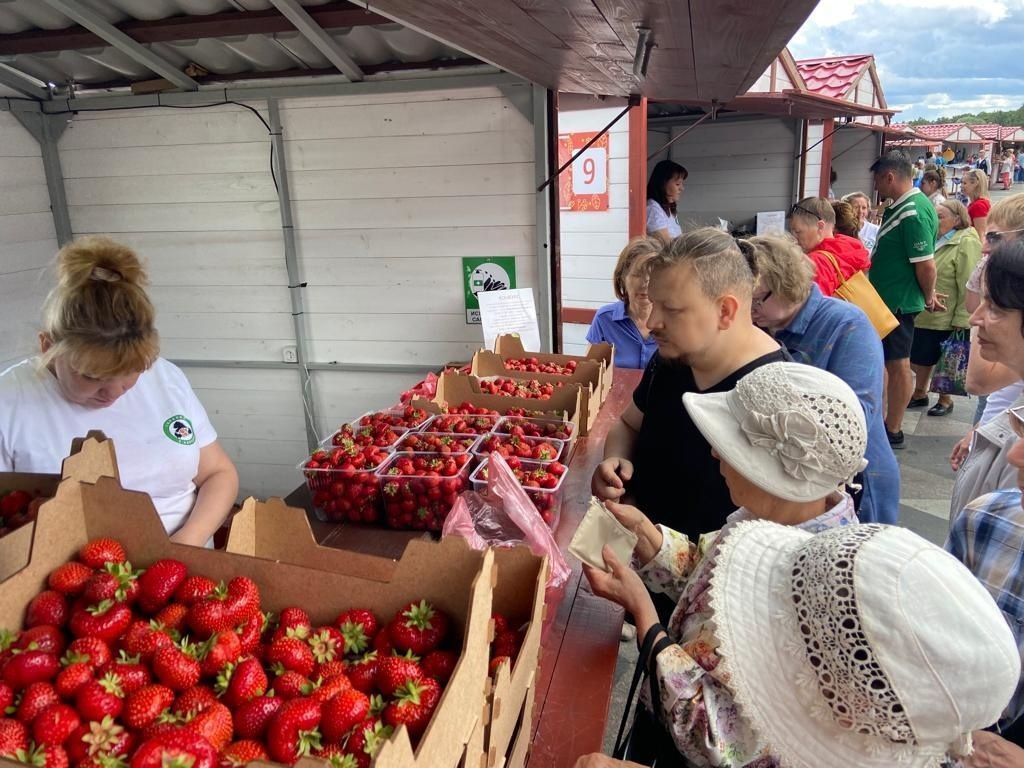 В Петрозаводске вновь пройдет фестиваль урожая клубники