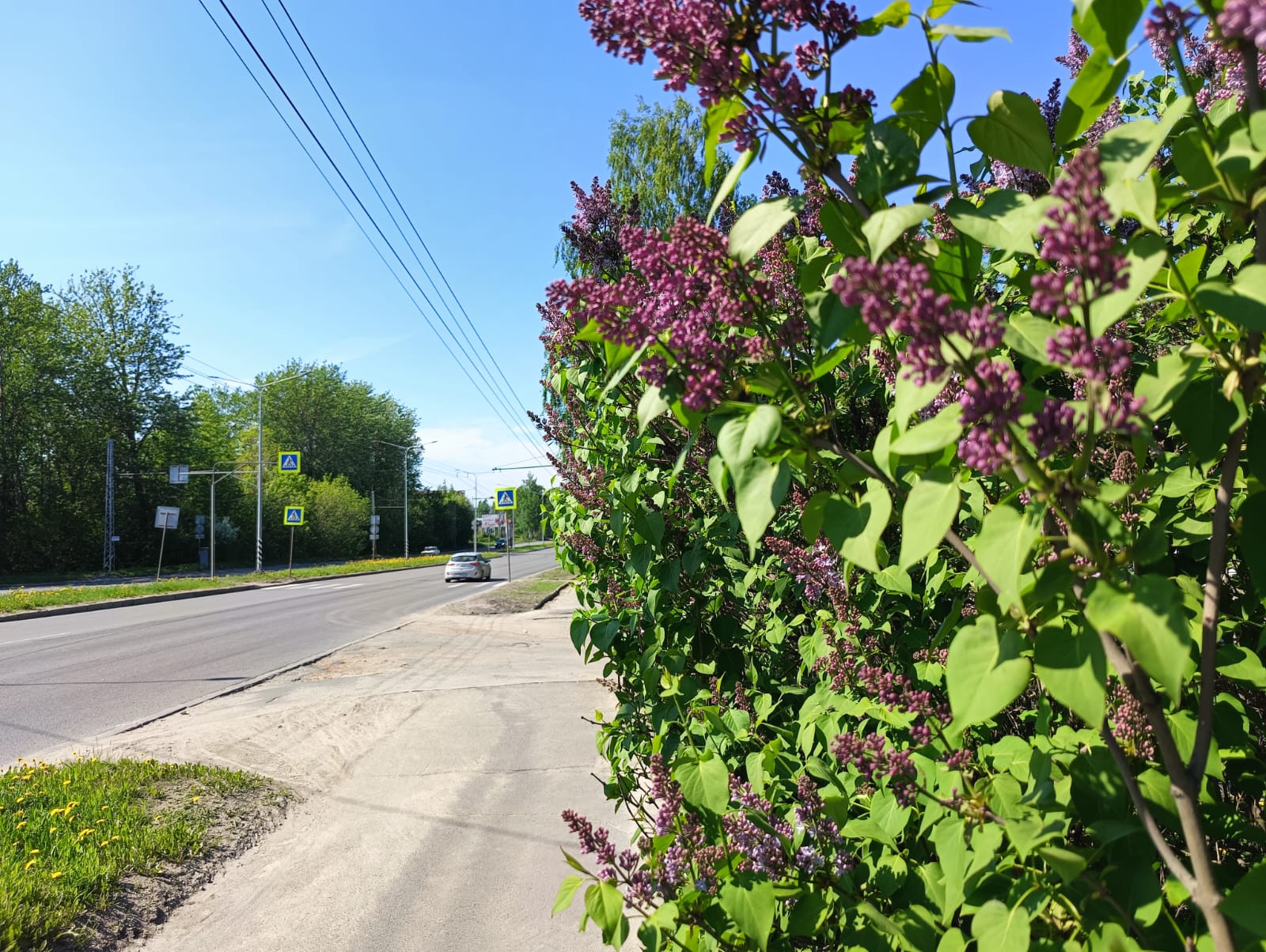 Жара и грозы. Прогноз погоды в Карелии на 2 июня