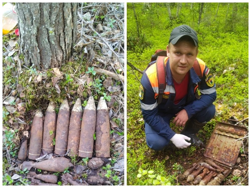 В Карелии обнаружили 24 взрывоопасных снаряда