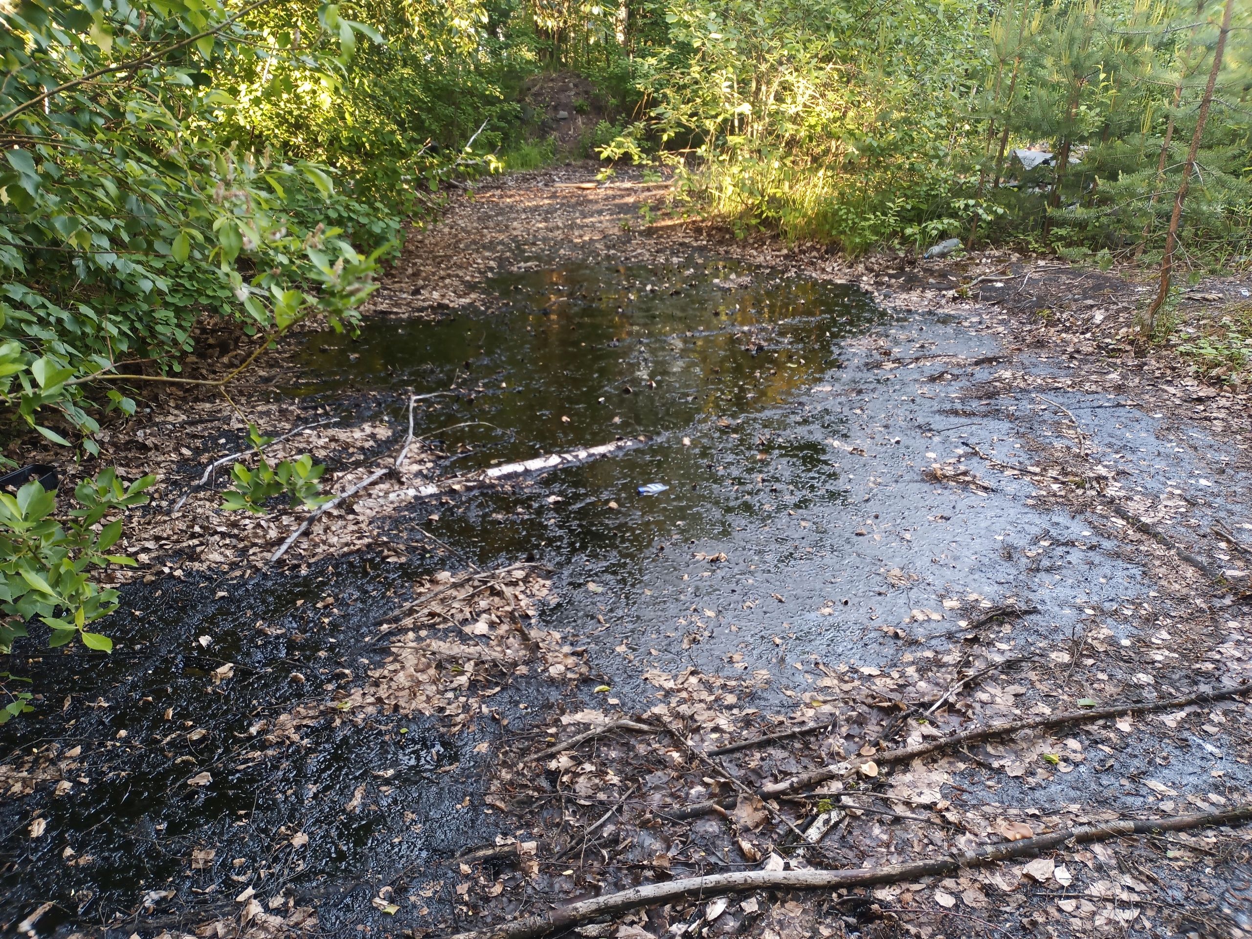 Петрозаводчане обнаружили огромные лужи мазута на Ключевой