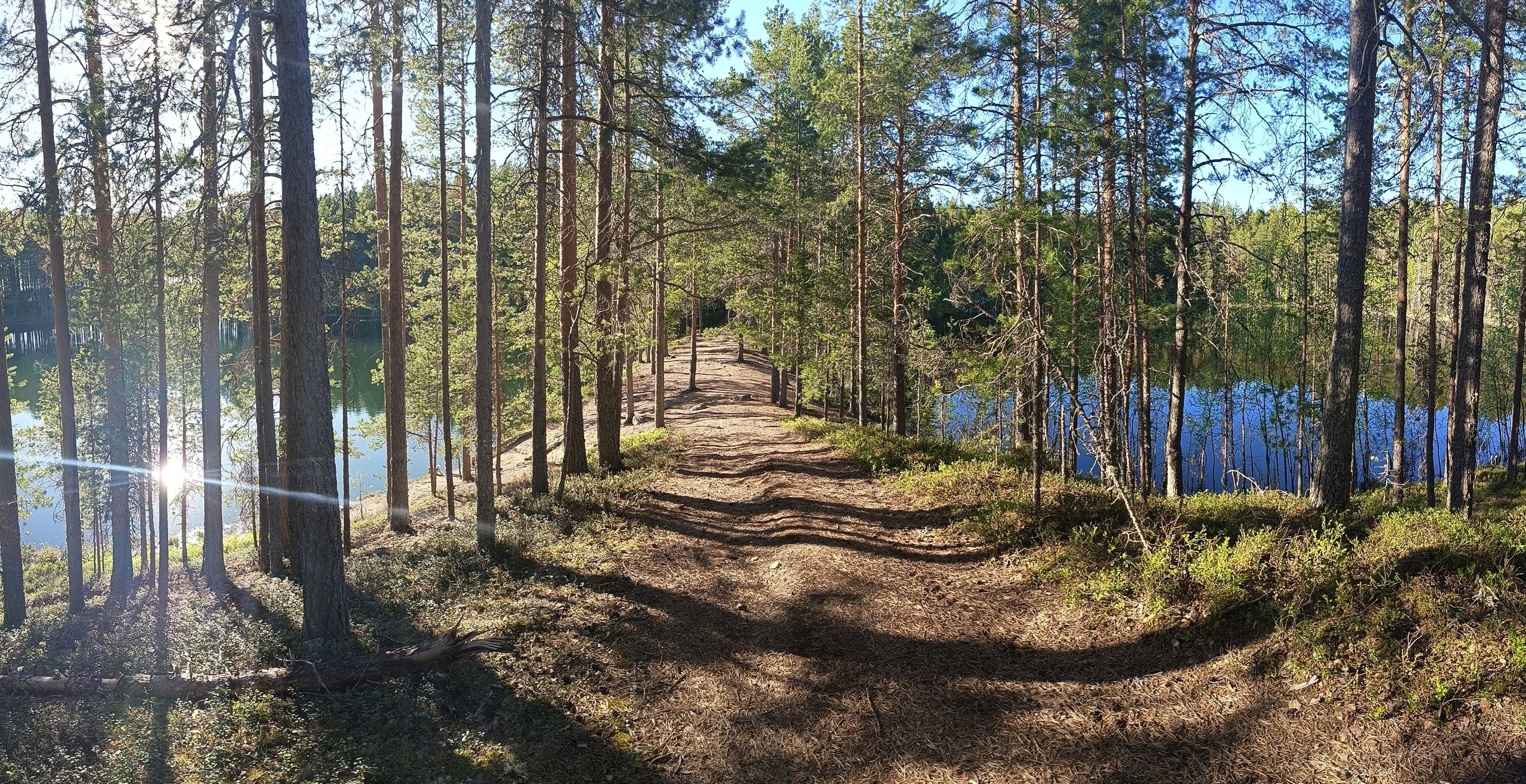 Тепло и без существенных осадков: прогноз погоды на 5 июня