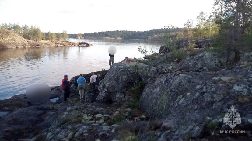 Семилетний ребенок утонул в Ладожском озере Семилетний ребенок утонул в Ладожском озере