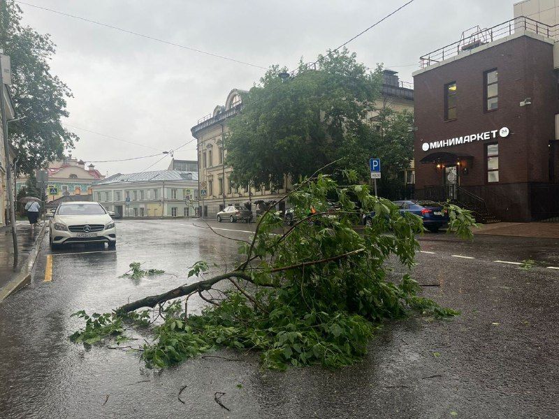В Москве из-за урагана погибли два человека, есть пострадавшие