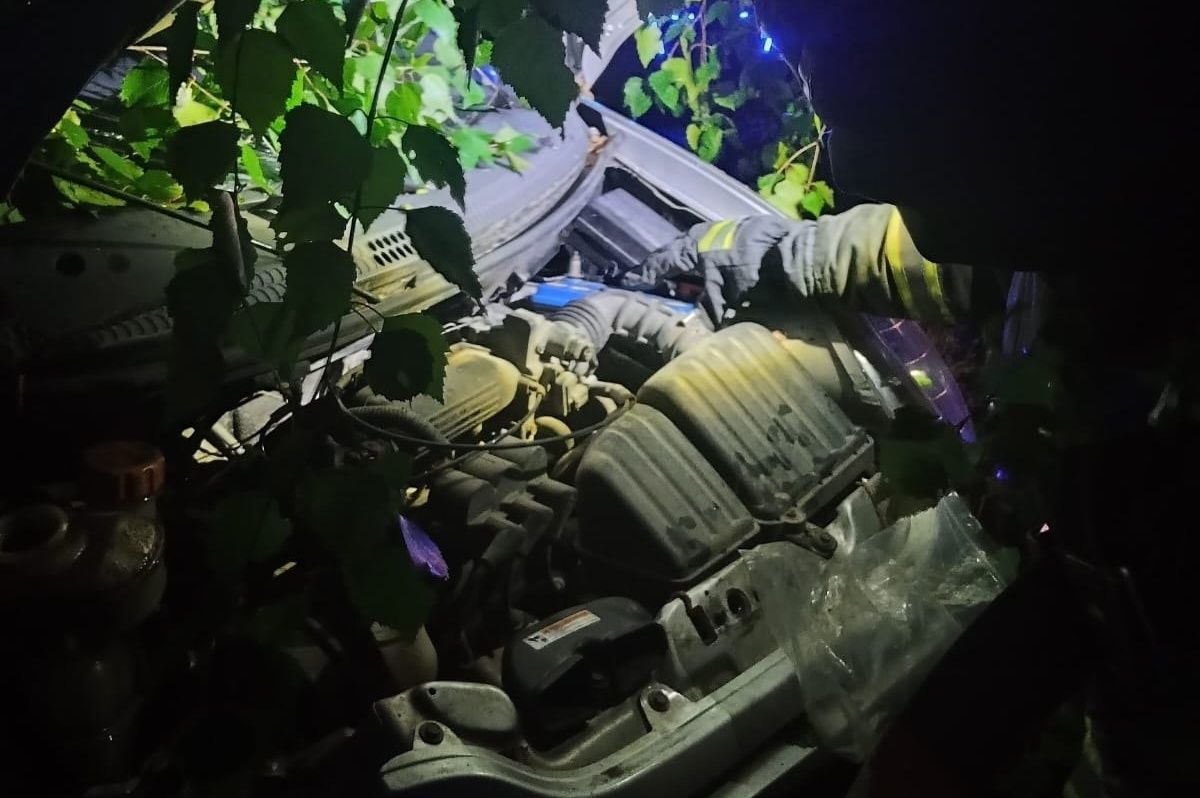 В Карелии ночью легковой автомобиль врезался в дерево