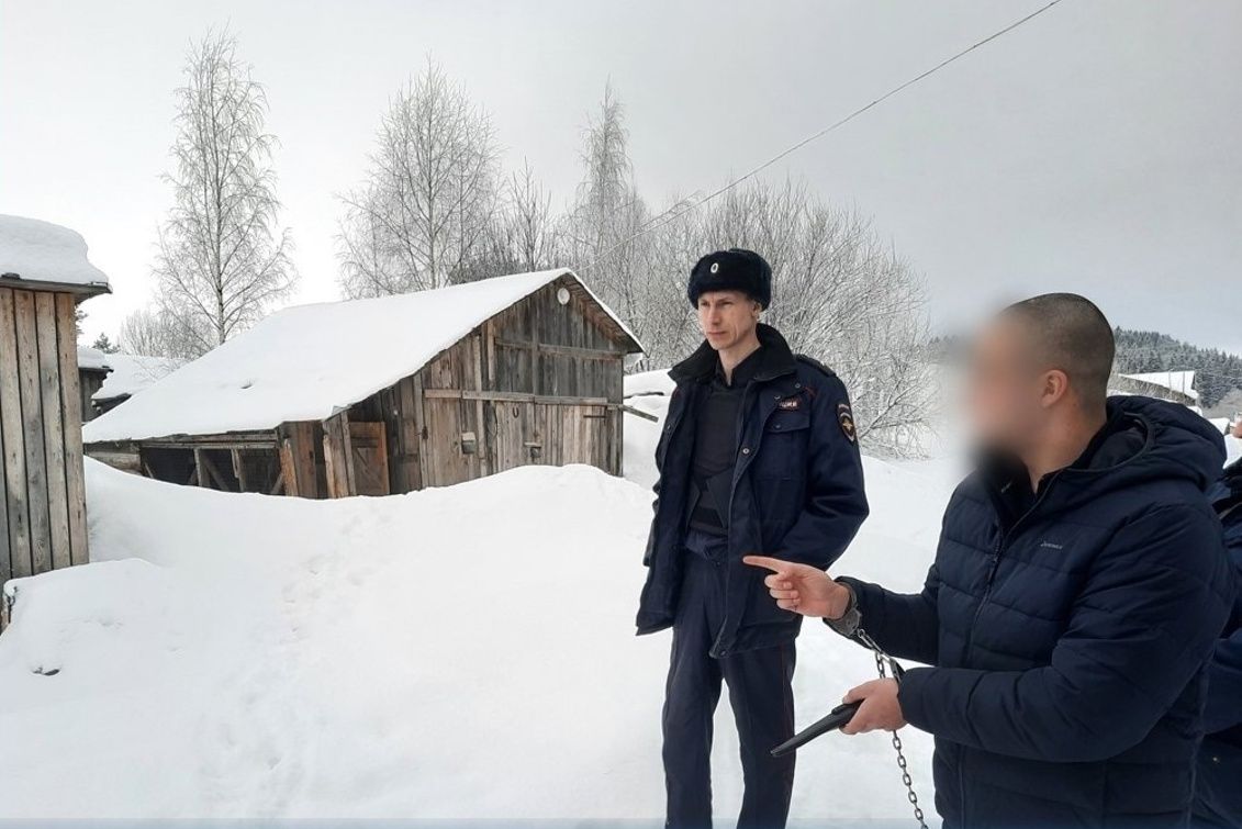 В Карелии осудили подростка, который убил мужчину