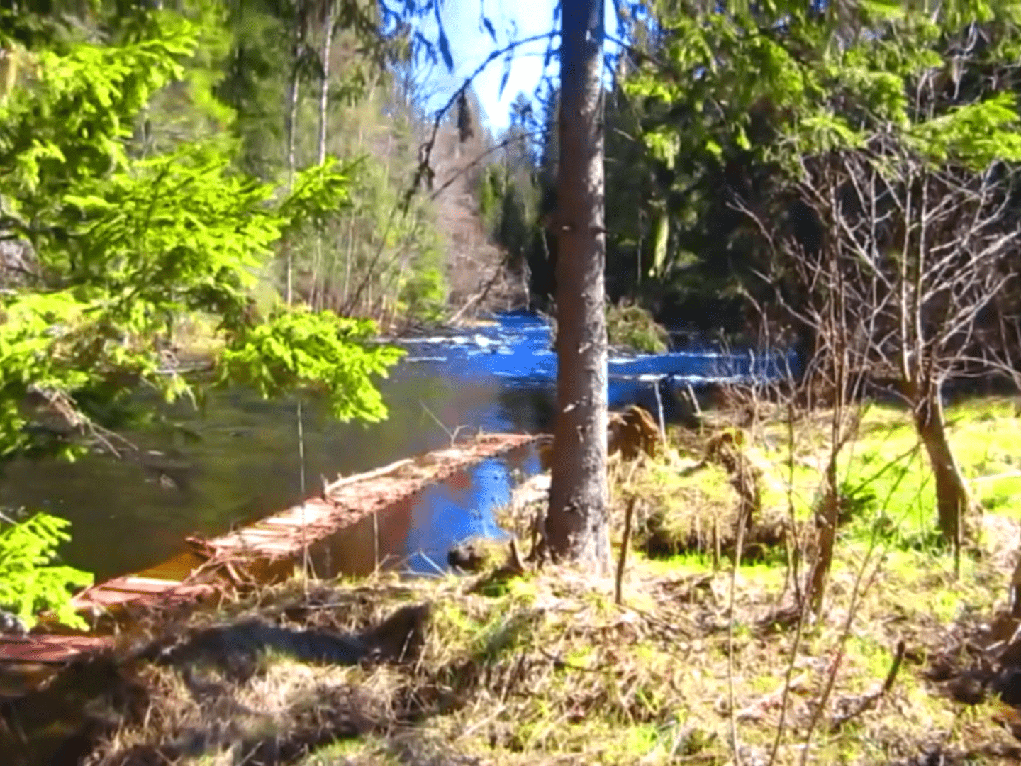 Упавший в реку \ Упавший в реку \