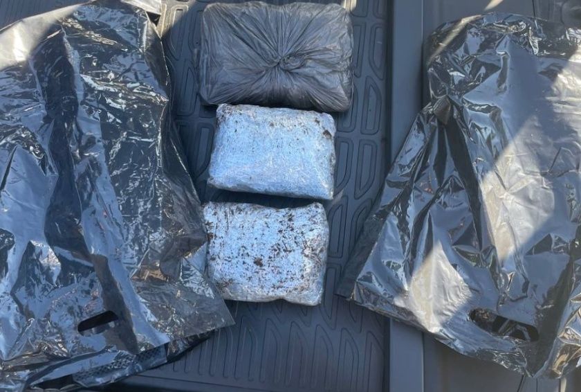 Жителя Олонца осудили за незаконное хранение наркотиков Жителя Олонца осудили за незаконное хранение наркотиков