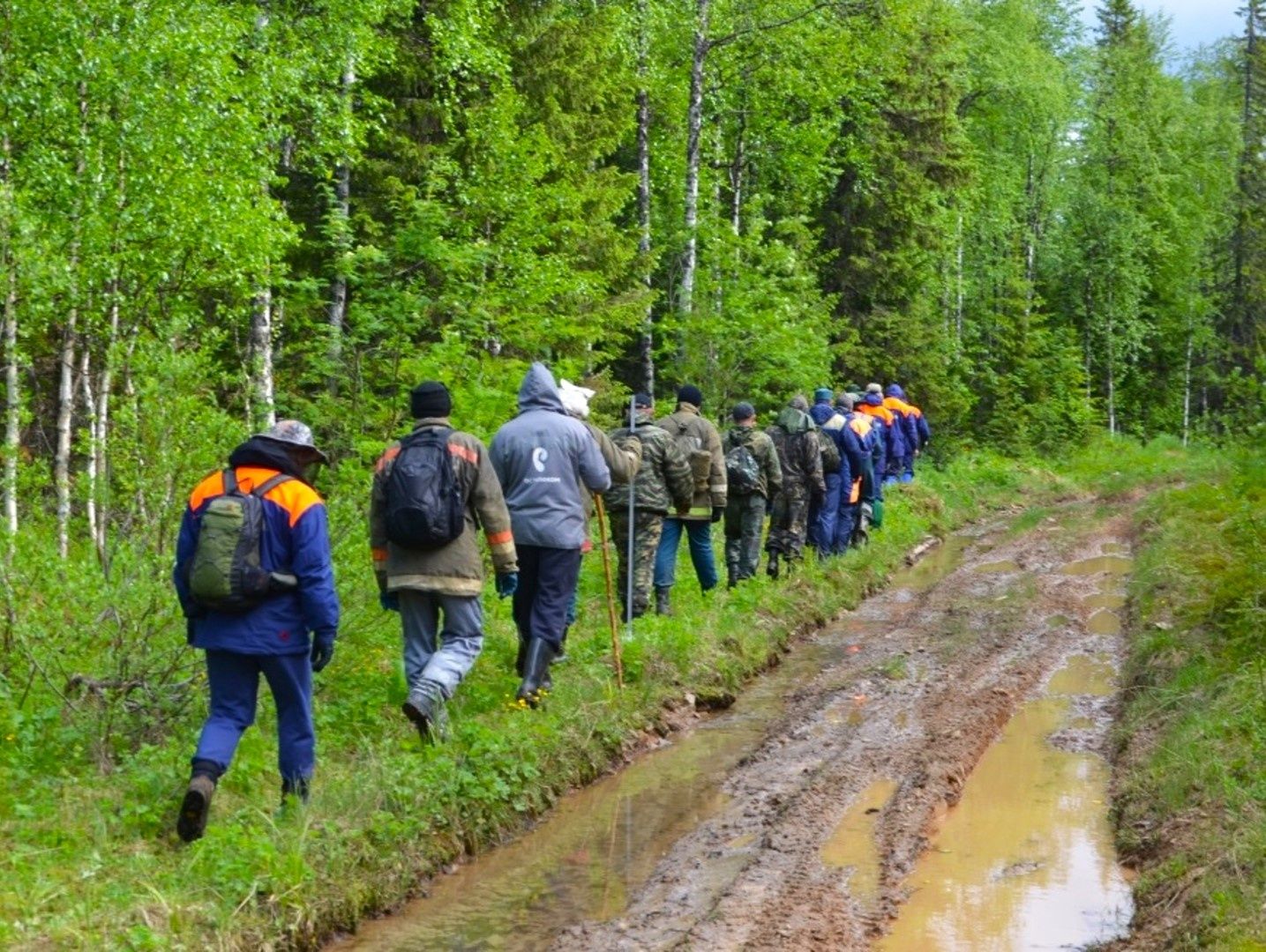 В лесу в Карелии нашли пропавшую ранее 80-летнюю женщину В лесу в Карелии нашли пропавшую ранее 80-летнюю женщину