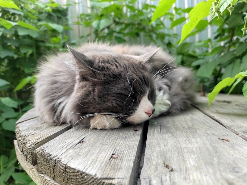 Снова прохладно: прогноз погоды на 23 июня